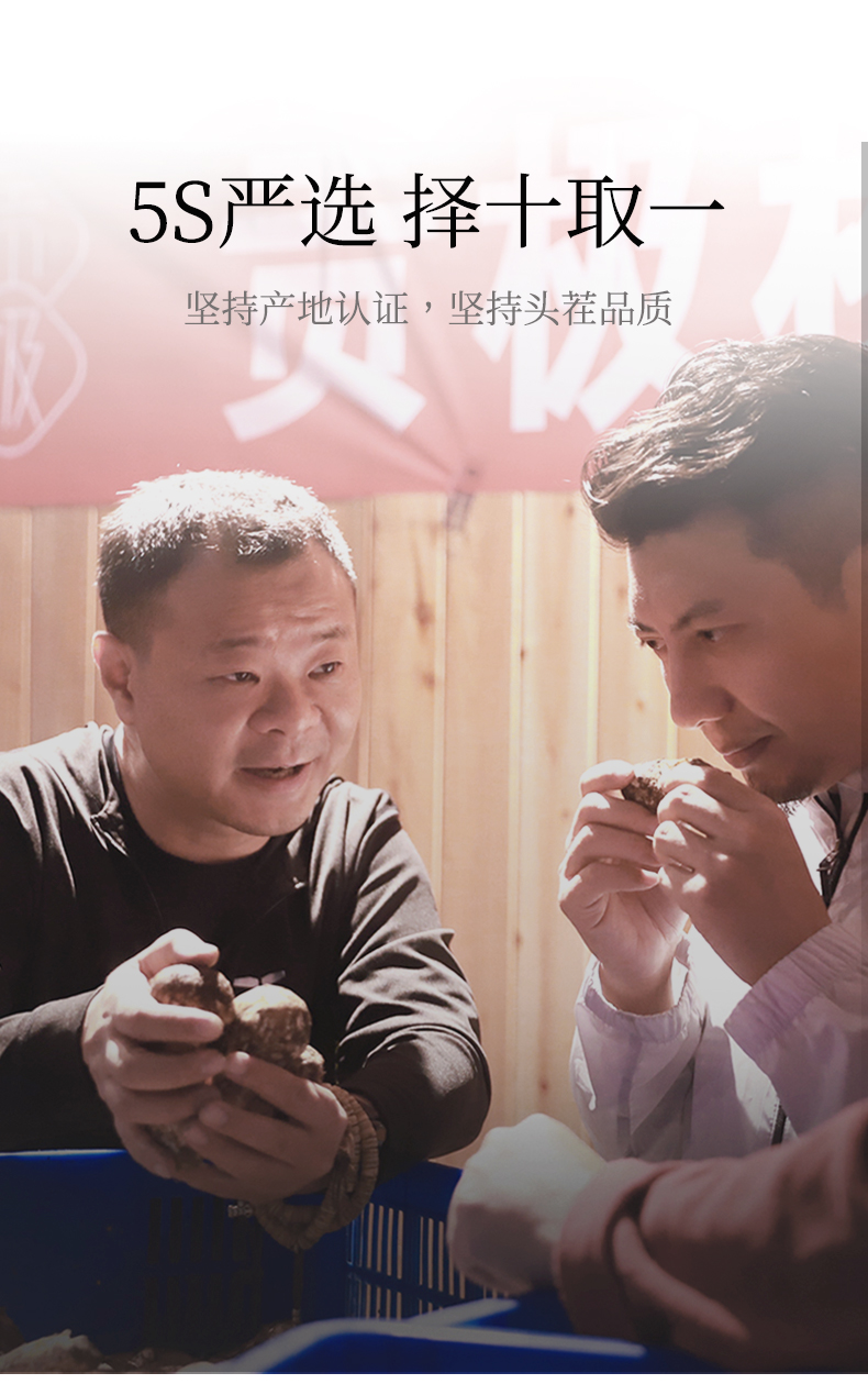 玉兔迎春_12.jpg