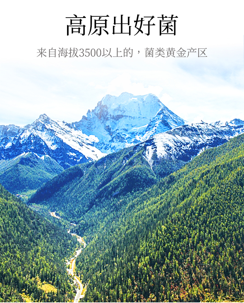 玉兔迎春_11.jpg