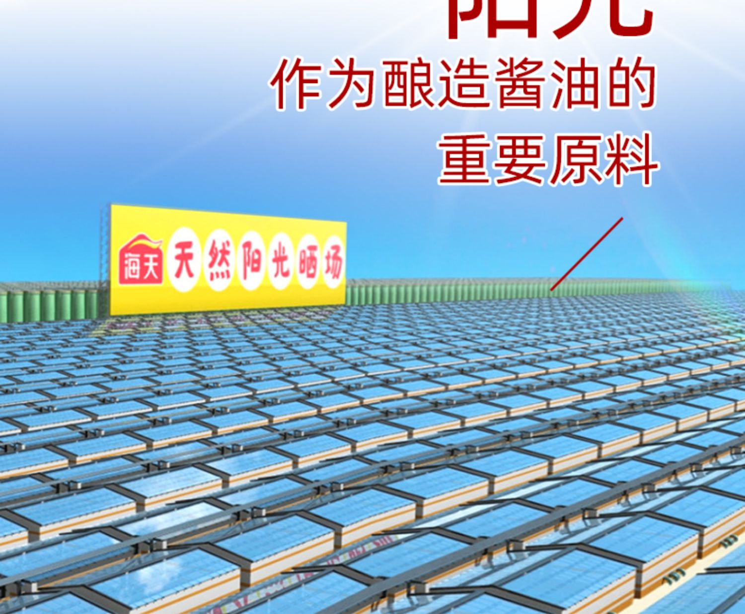生抽500ml5.jpg