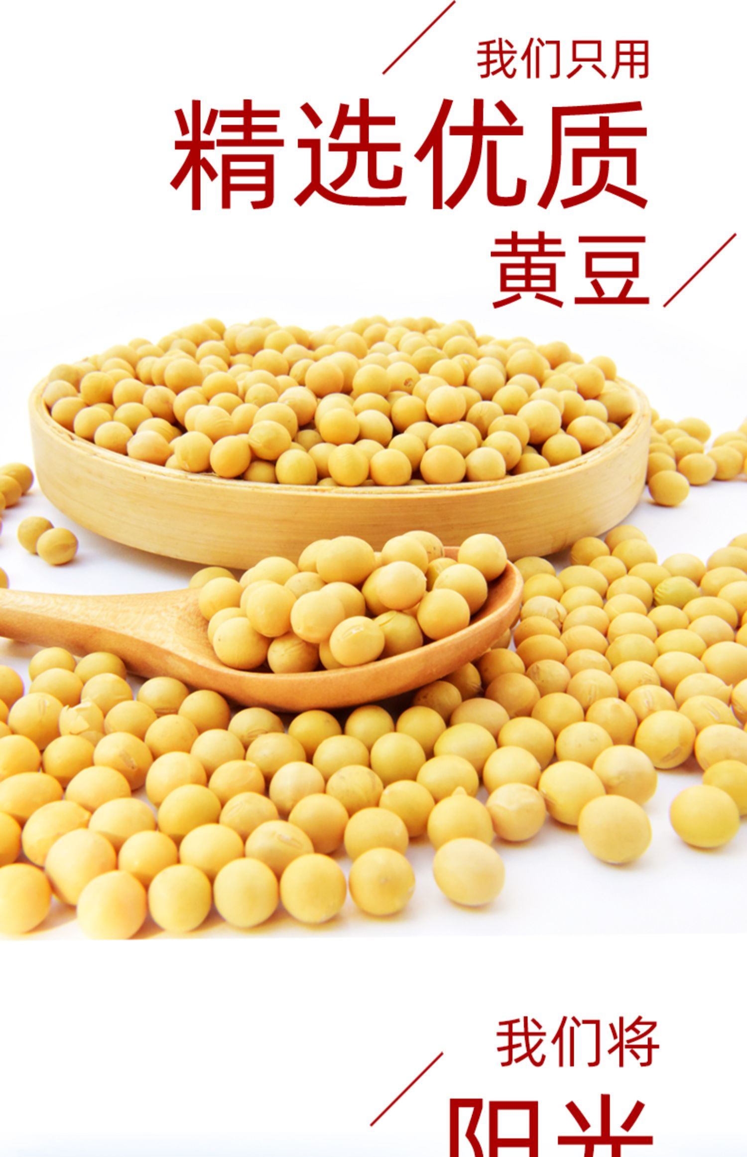 生抽500ml4.jpg