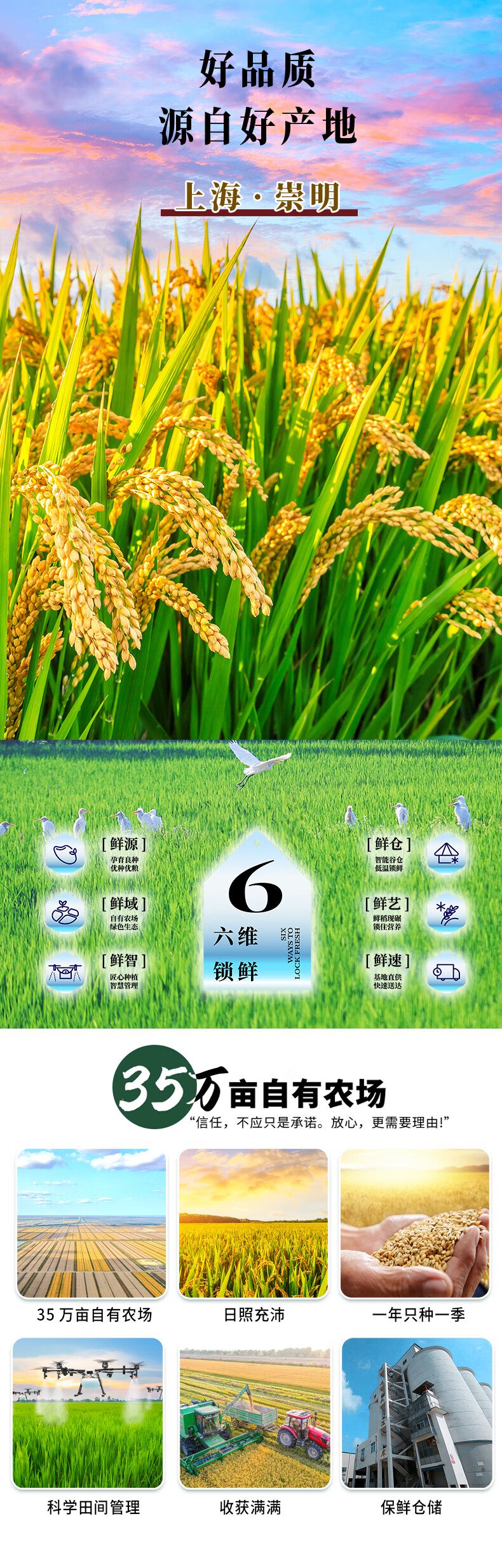 详情-01.jpg