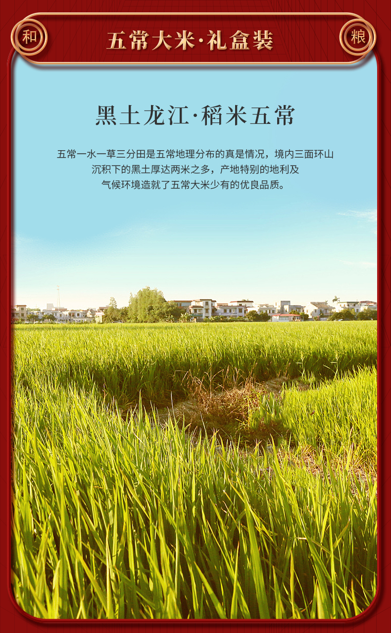 详情页1 (2).jpg