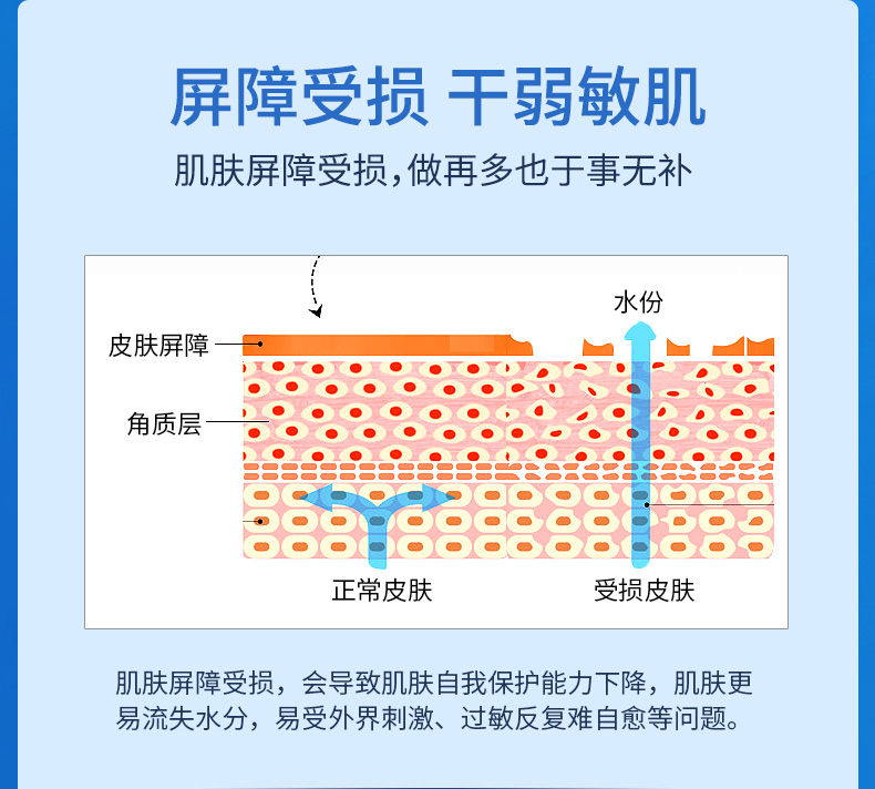 医用海藻糖修复敷料-面膜---切片_06.jpg