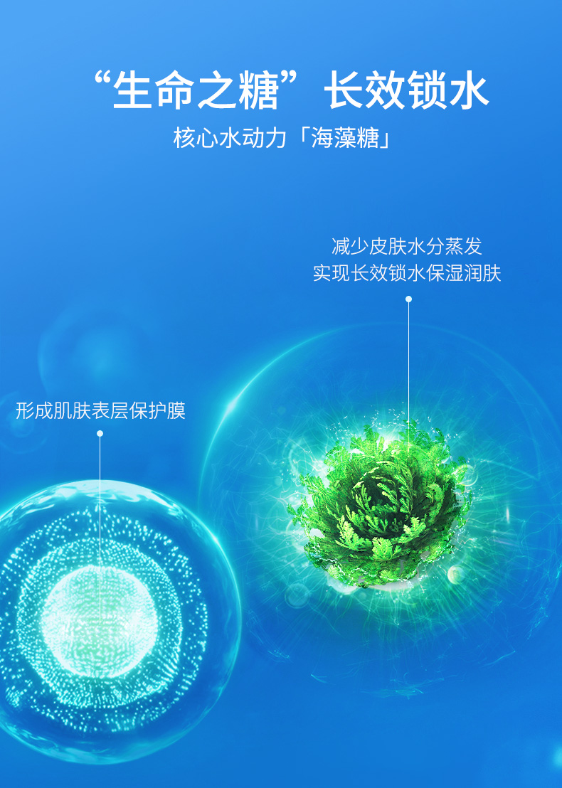 医用海藻糖修复敷料-面膜---切片_05.jpg