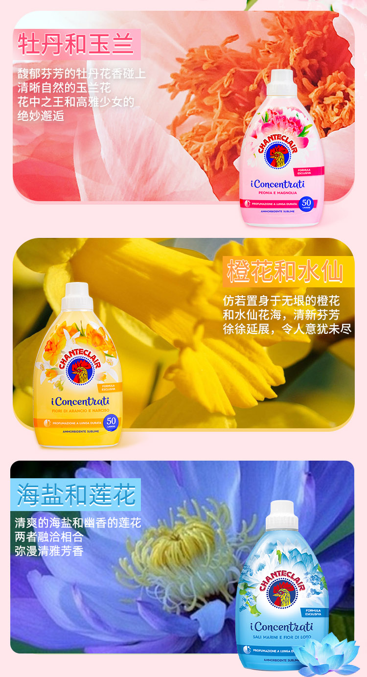 详情1_07.jpg