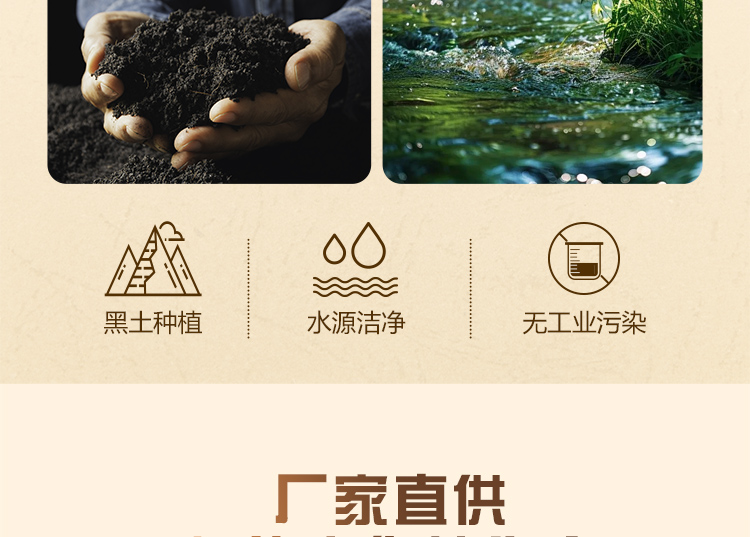 详情_06.jpg