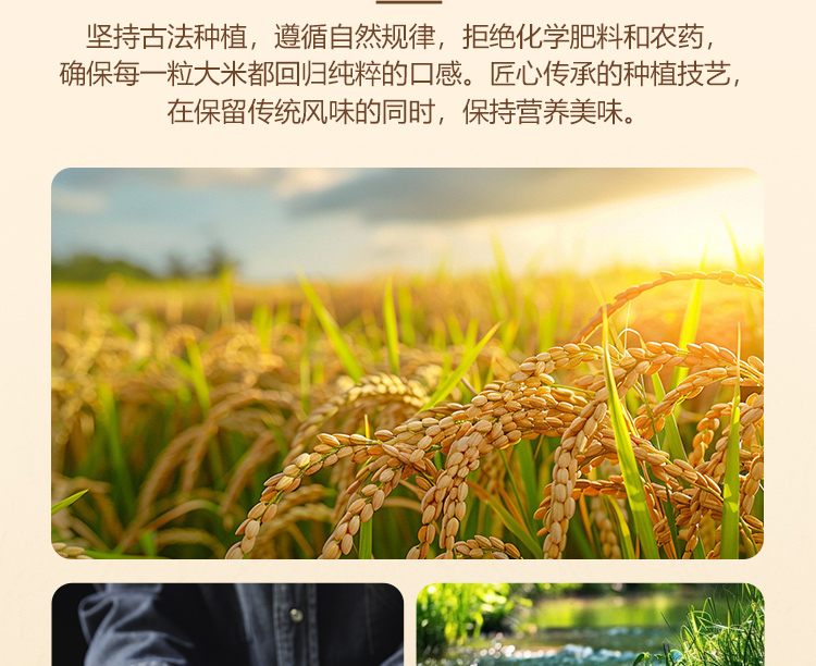 详情_05.jpg