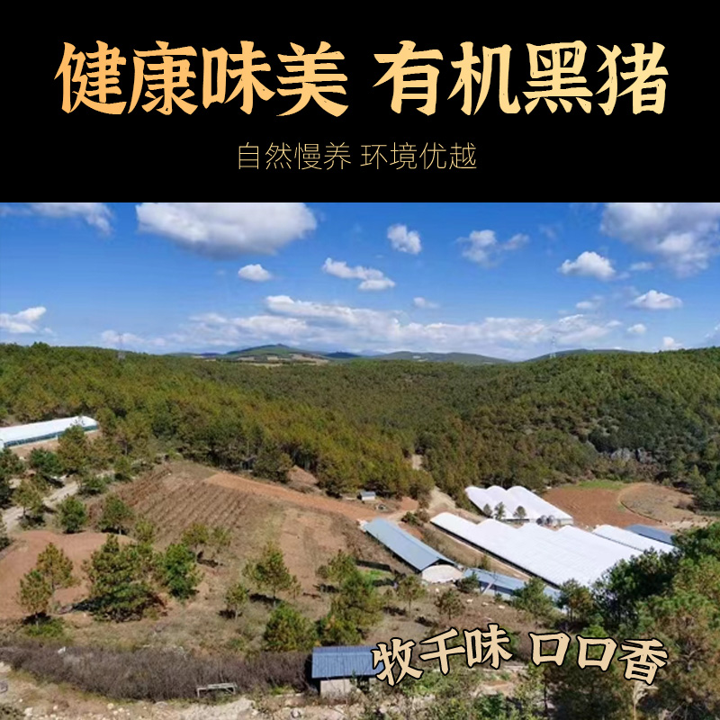 06通用.jpg