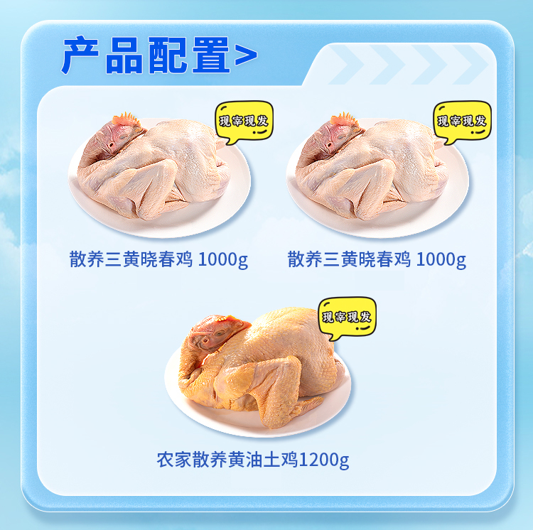 大吉大利套餐B_04.jpg