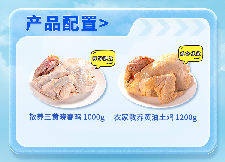 大吉大利套餐A_04.jpg