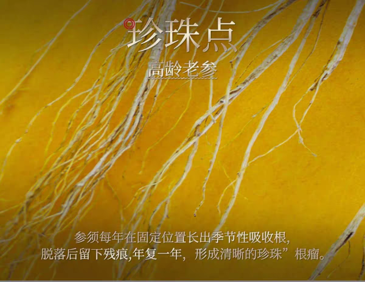 b24f3dc58e9d2b12c9d4b98efb4a955.png