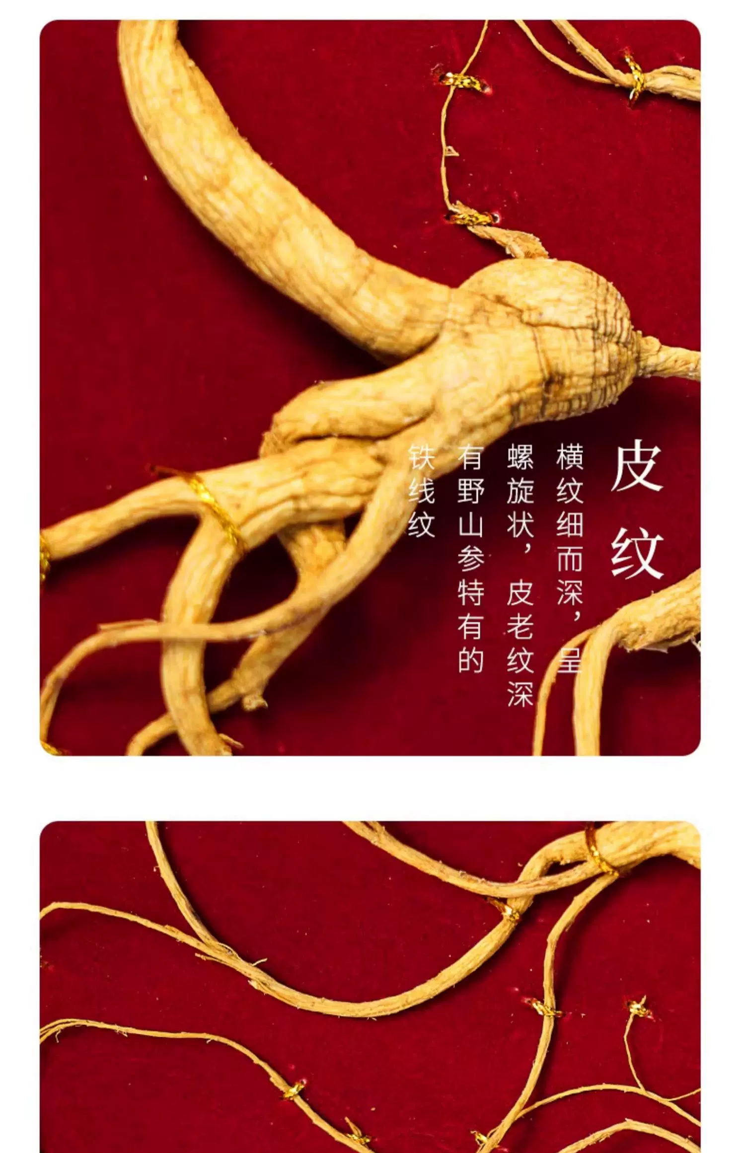 d202a9c6a342158bb76f27038cfe6a4.png