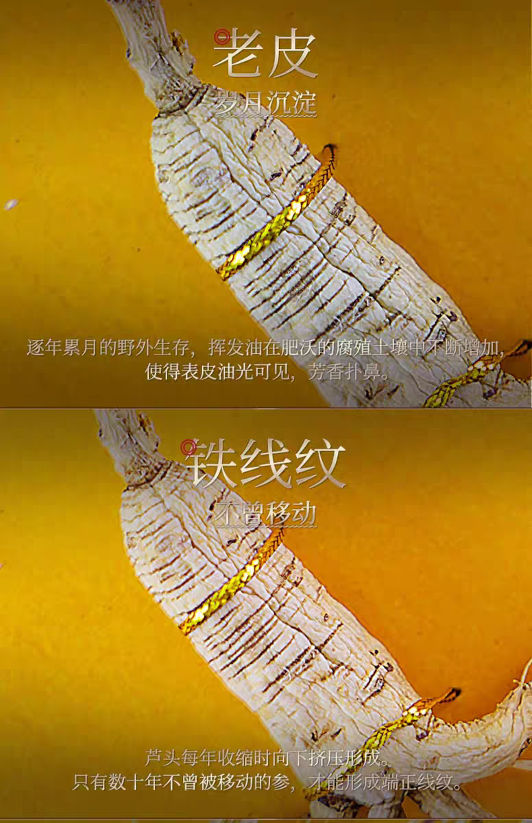 ccabaaa7562aae33946ba4edfe189ed.png