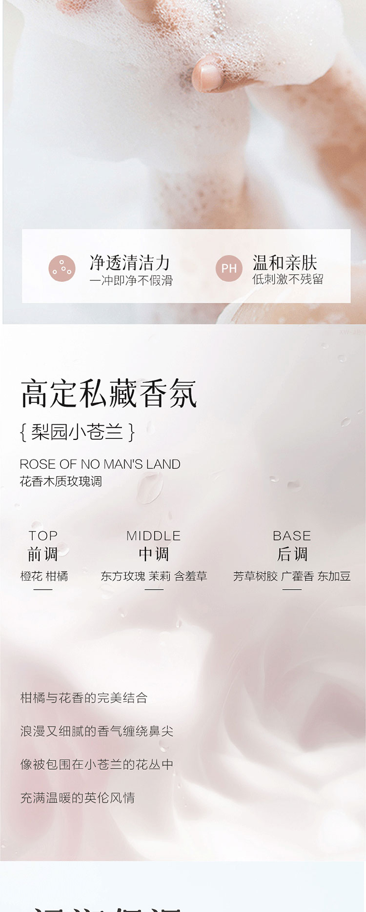答菲蒸蒸日上组合B详情_11.jpg