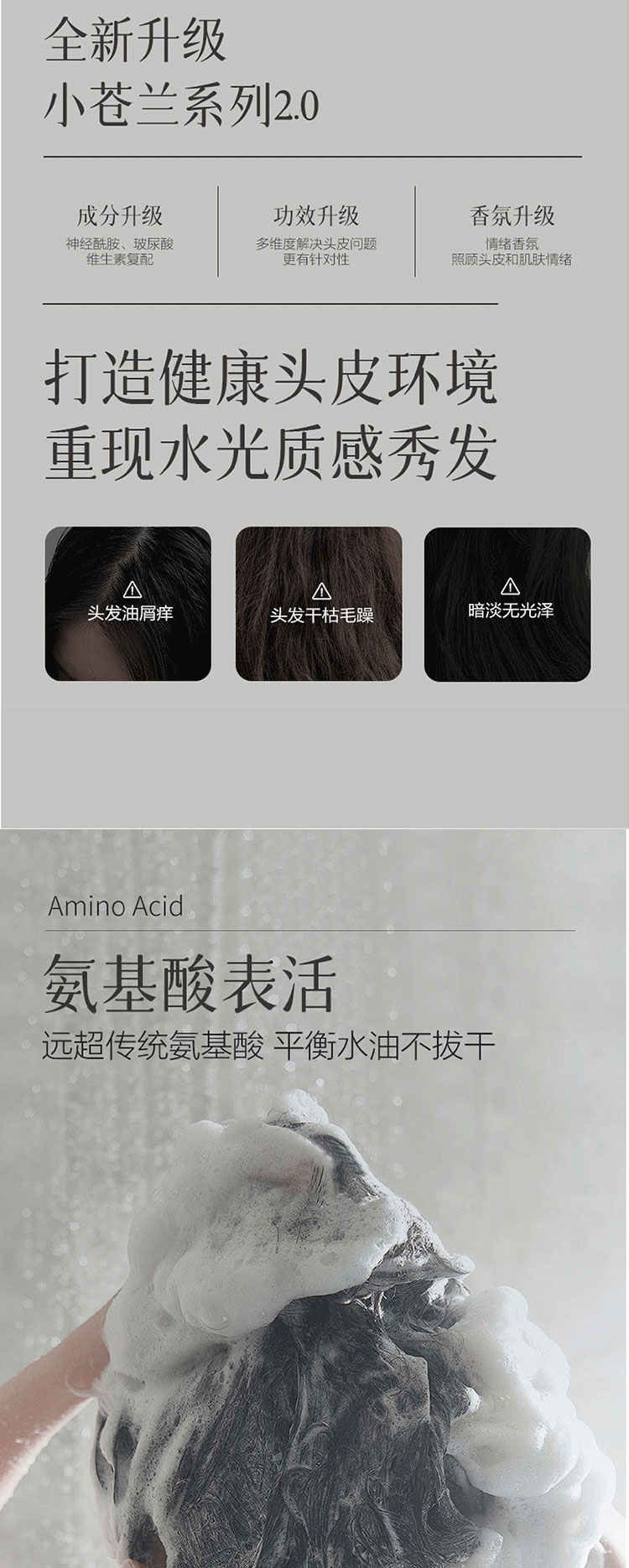 答菲蒸蒸日上组合B详情_09.jpg