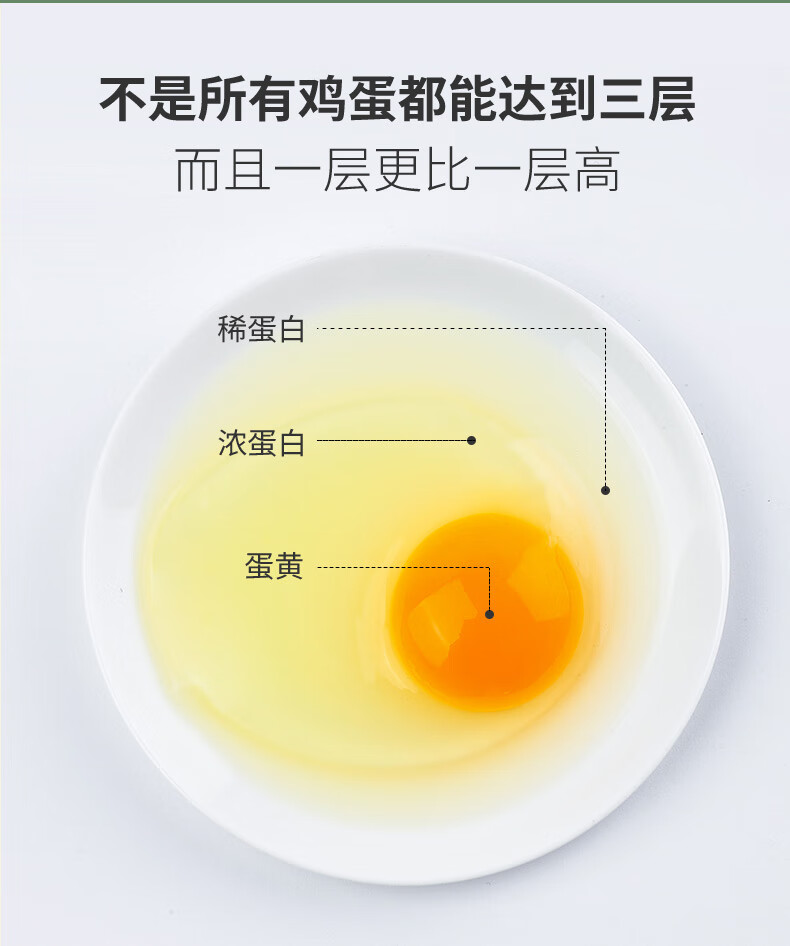详情图片_10.jpg