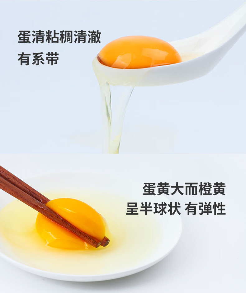 详情图片_11.jpg