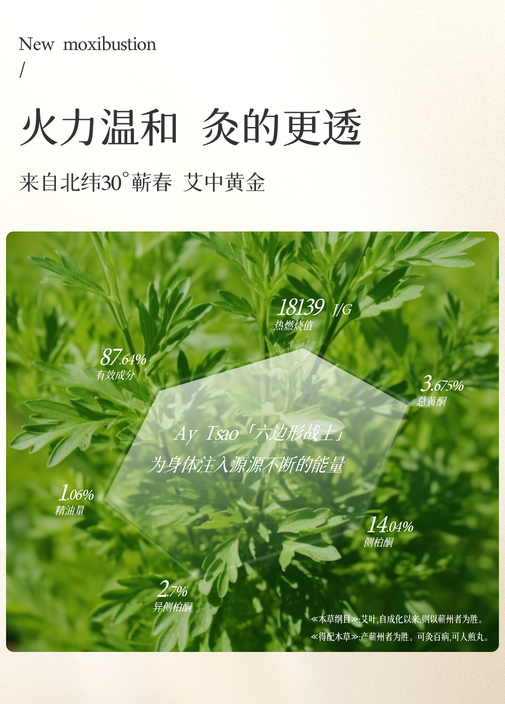 S3-详情改_看图王_02.jpg