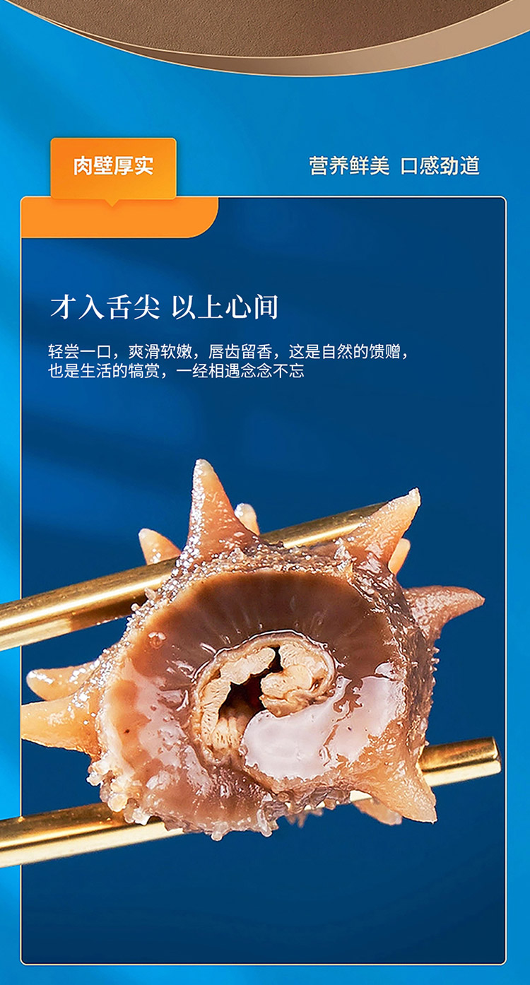 大连淡干海参_06.jpg