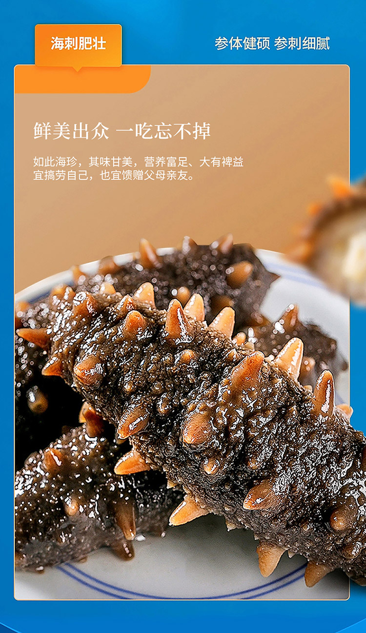 大连淡干海参_07.jpg