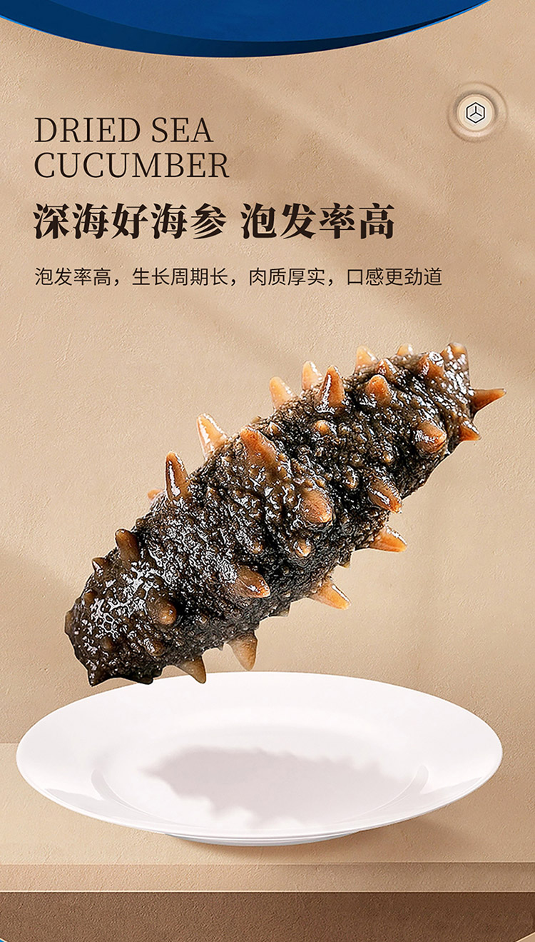 大连淡干海参_05.jpg