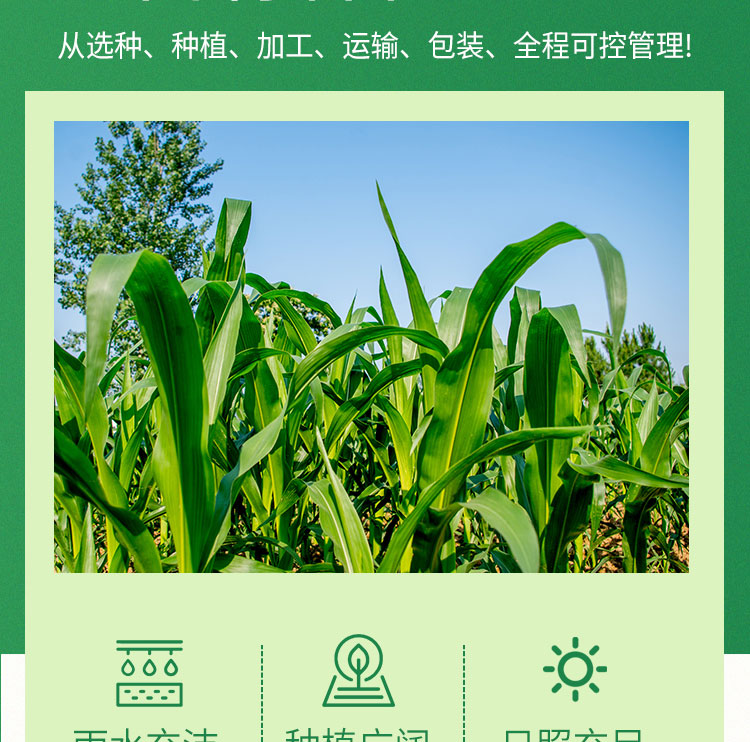 玉米糁详情_03.jpg