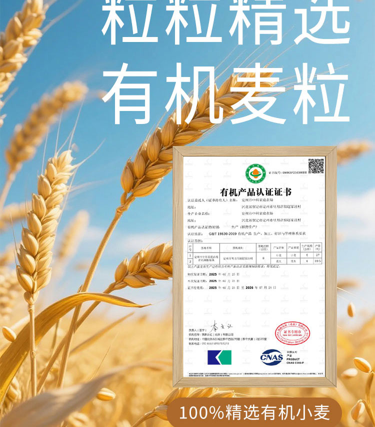 视频号有机详情_06.jpg