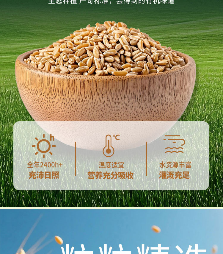 视频号有机详情_05.jpg