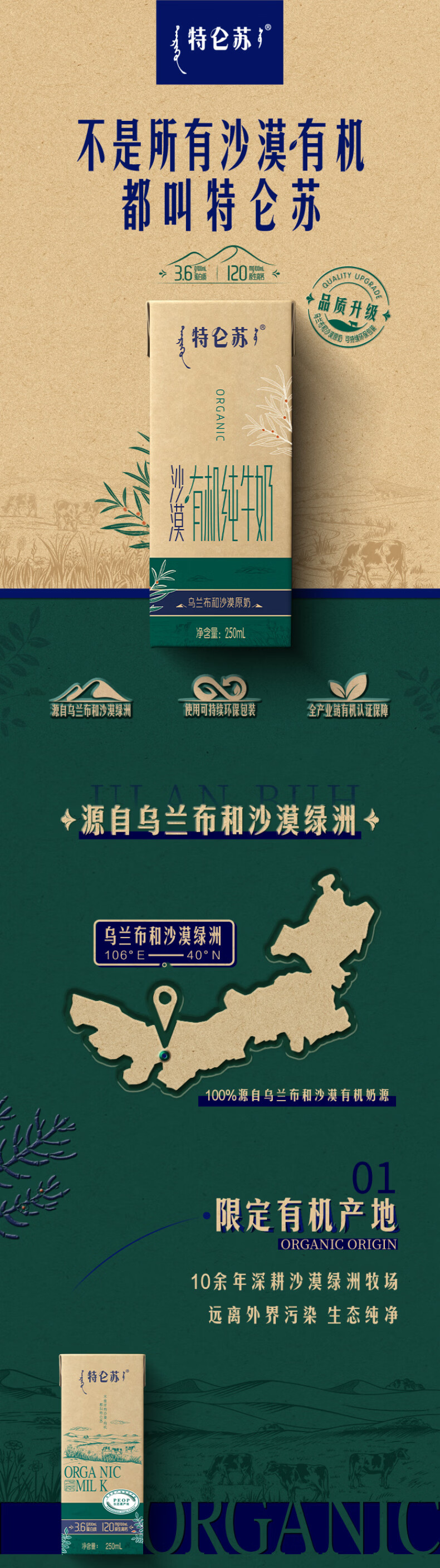 详情_03.jpg