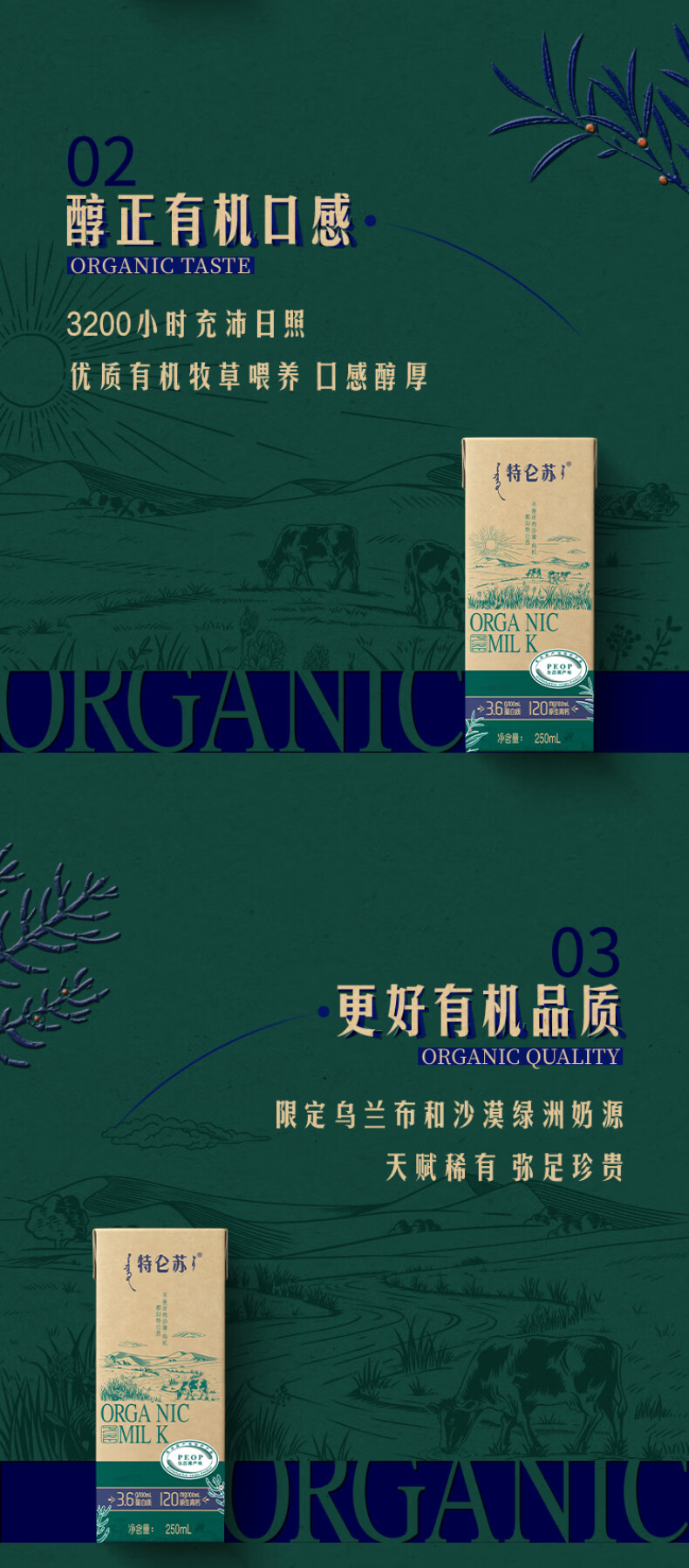 详情_04.jpg