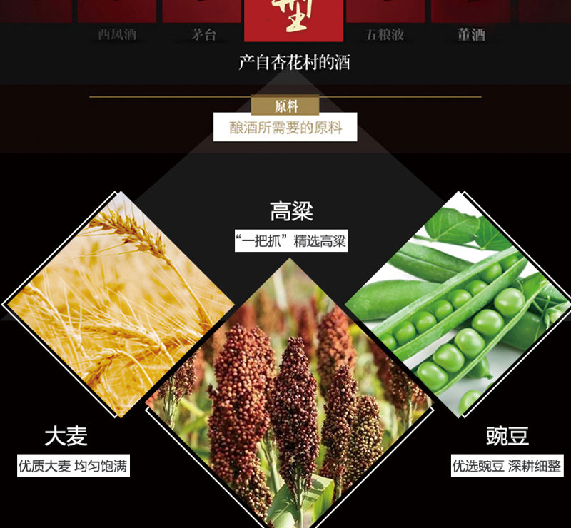 未标题-11_09.jpg