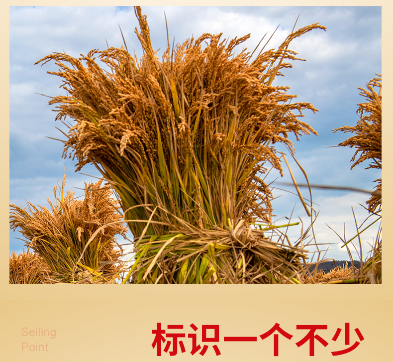 华稻贡品五常大米5_04.jpg