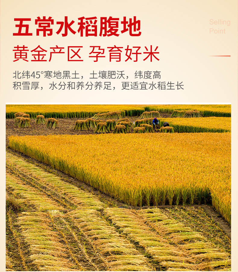 华稻贡品五常大米5_03.jpg