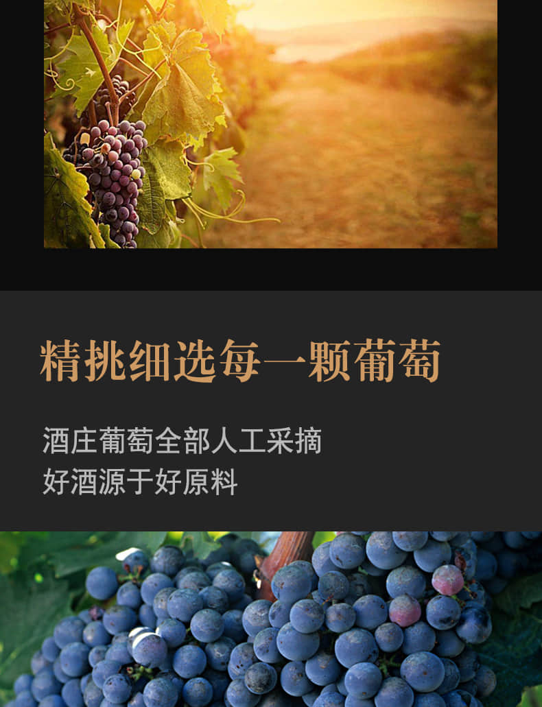 详情03.jpg
