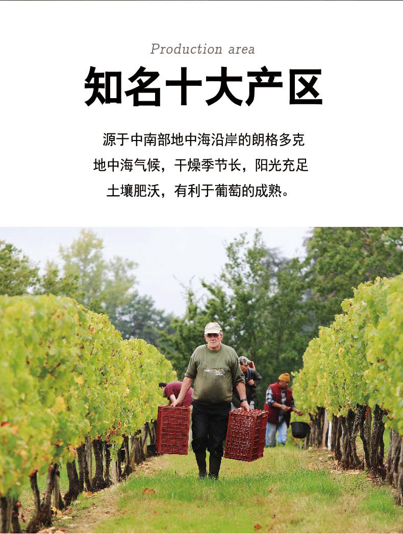 详情-03.jpg