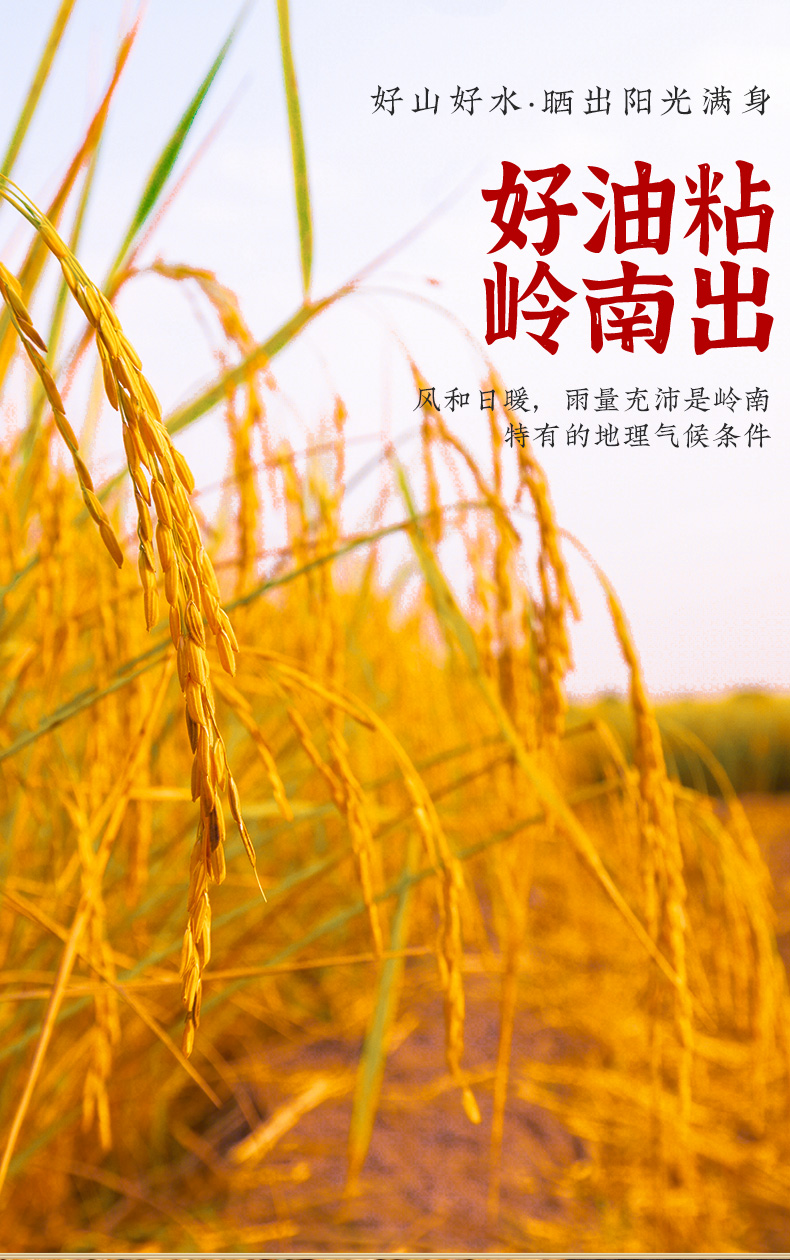 经典靓虾王5kg详情_04.jpg