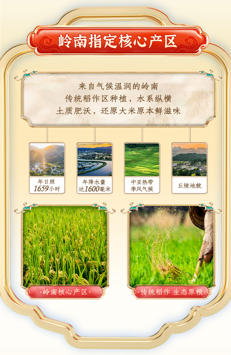 南方甄选丝苗米5kg_04.jpg