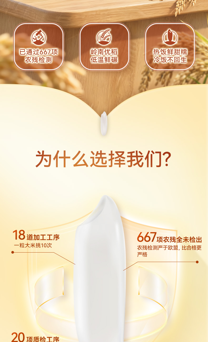 靓虾王香软米2_02.jpg