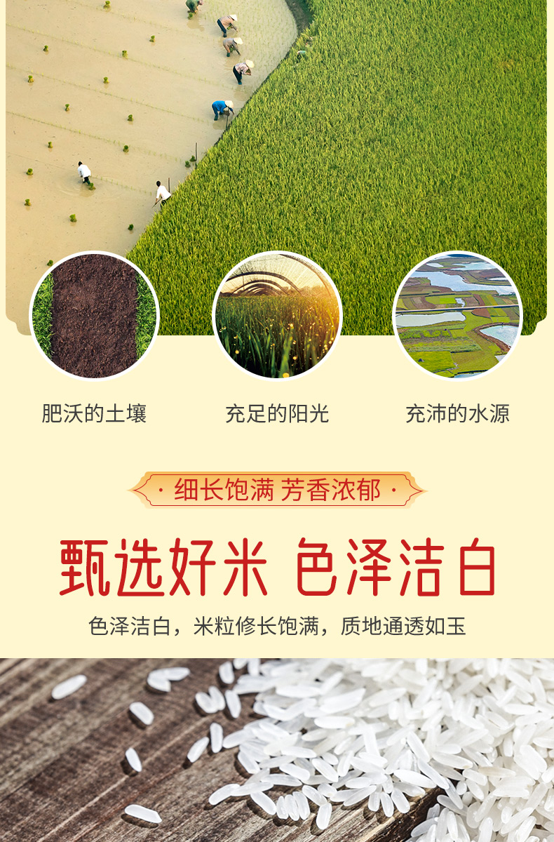 御泰坊纳象茉莉香米5详情页_04.jpg
