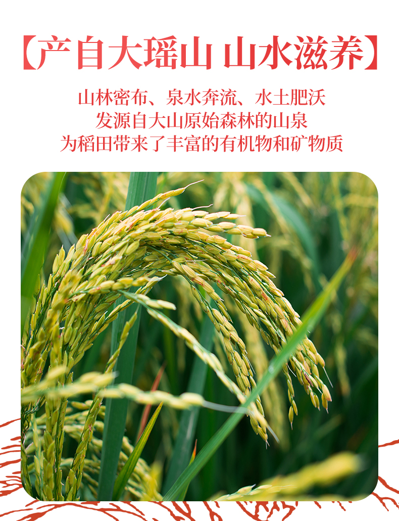 鸣象富桂银粘米5kg_02.jpg