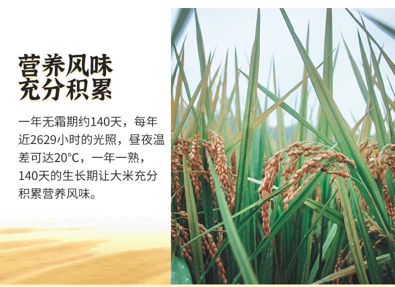 太粮鲜仔五常大米5kg详情页（编织袋）_06.jpg