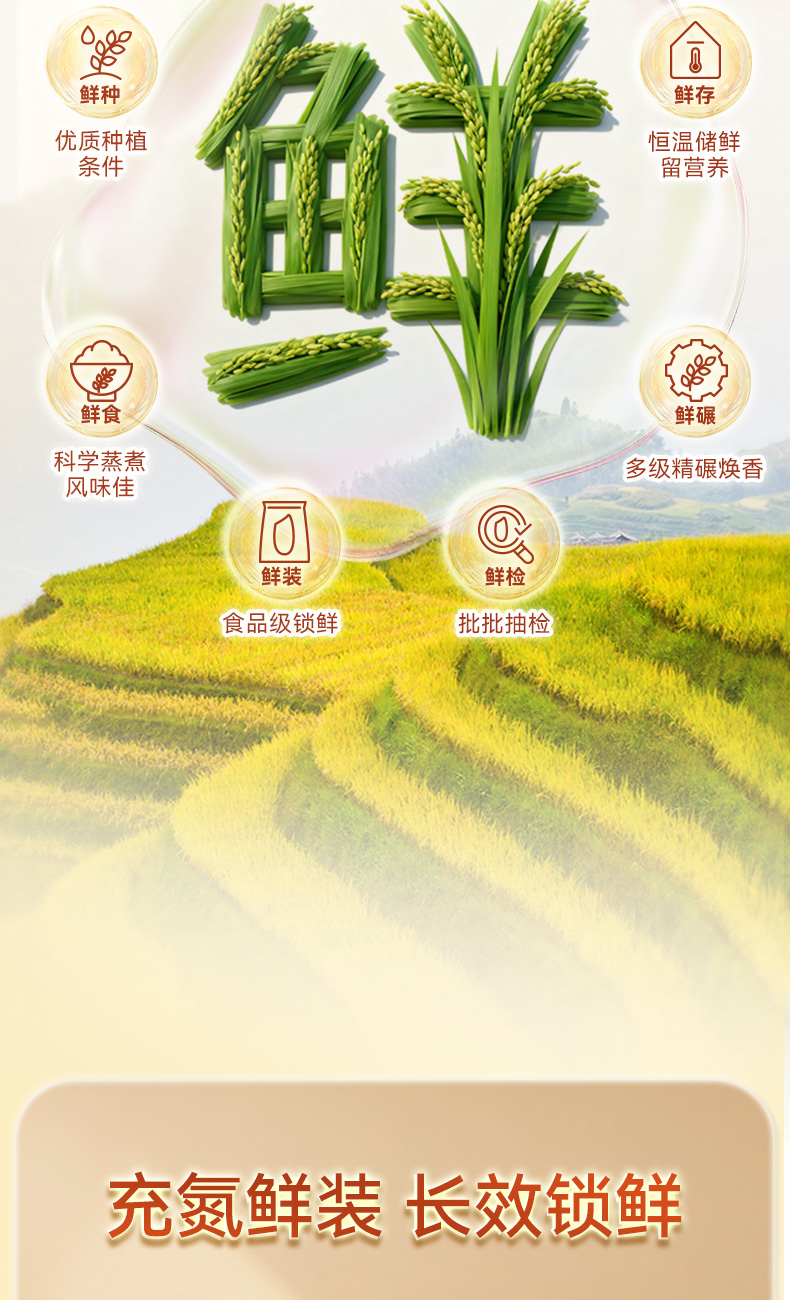 靓虾王香软米2_12.jpg