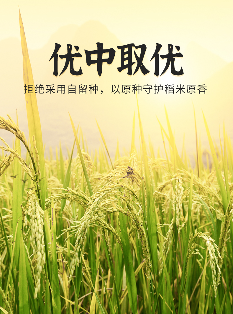 太粮鲜仔五常大米5kg详情页（编织袋）_07.jpg
