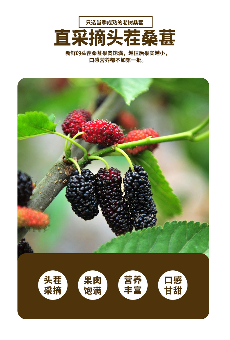 详情_06.jpg