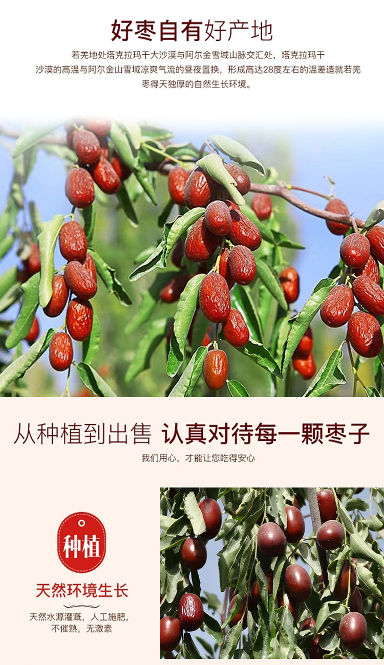 灰枣详情_02.jpg