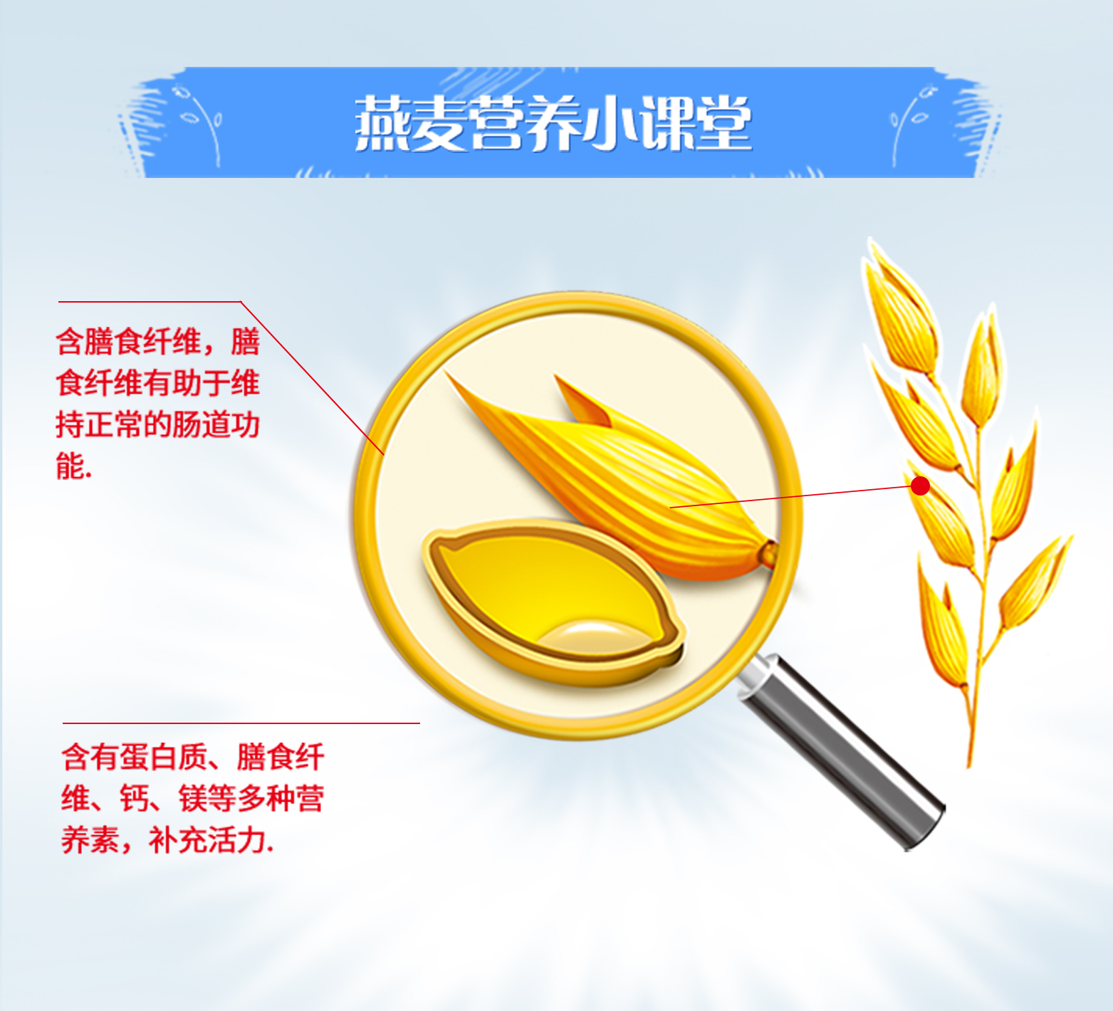 桂格21日燕麦礼详情页_08.jpg