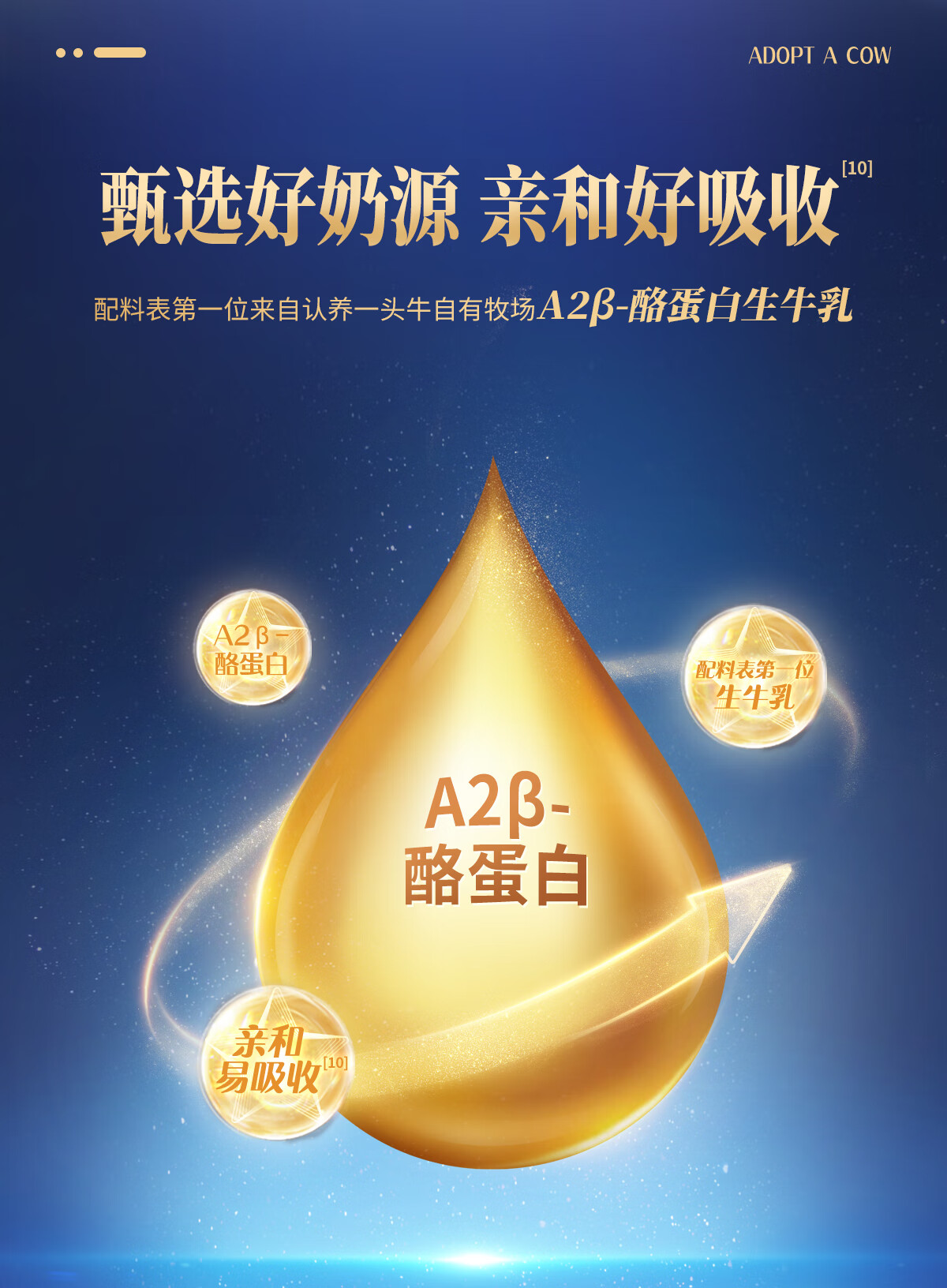 详情图片_15.jpg