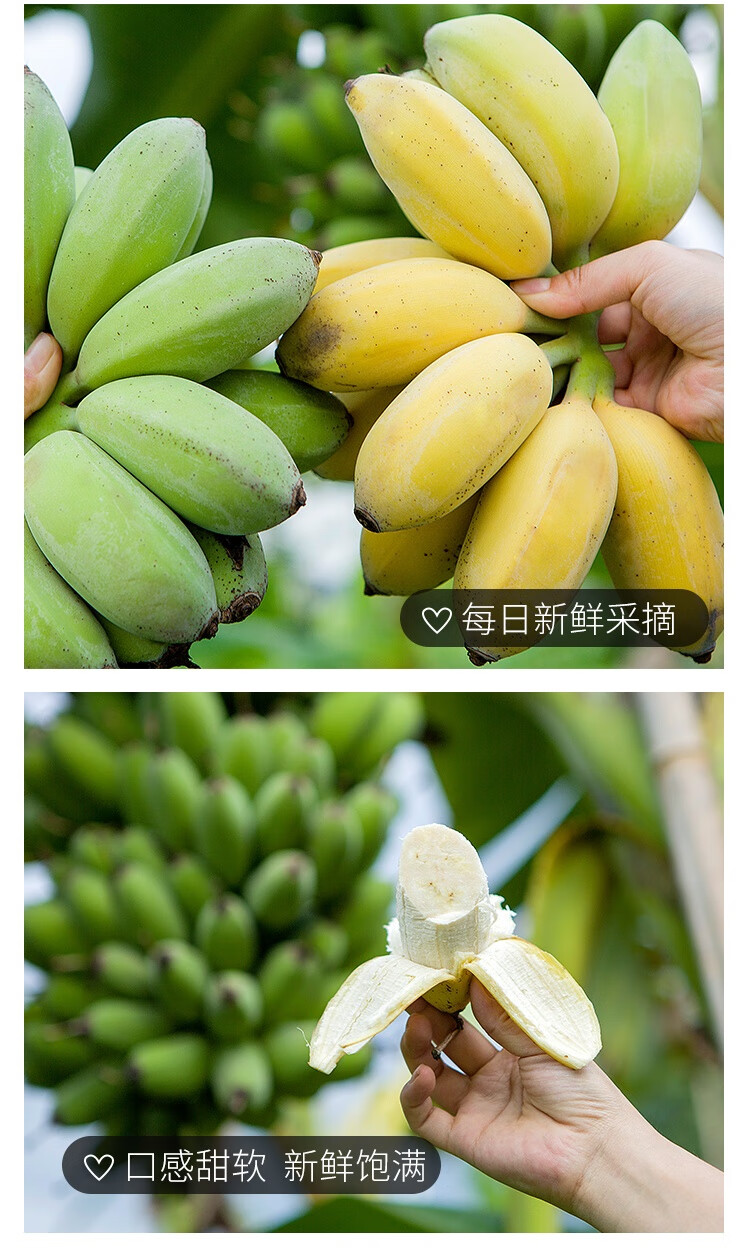 详情图片_06.jpg