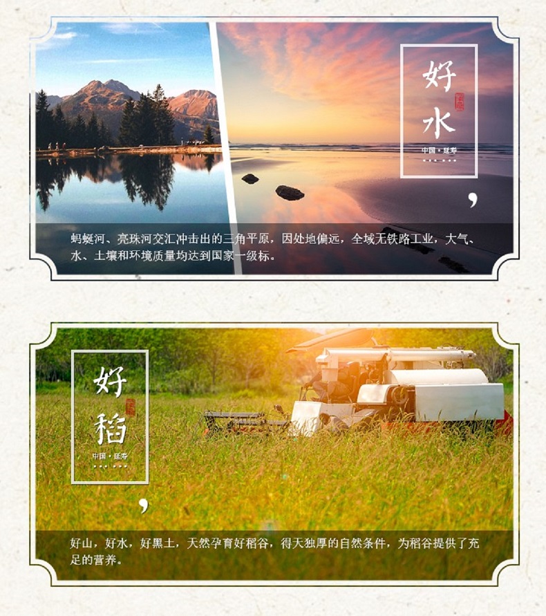 04.jpg