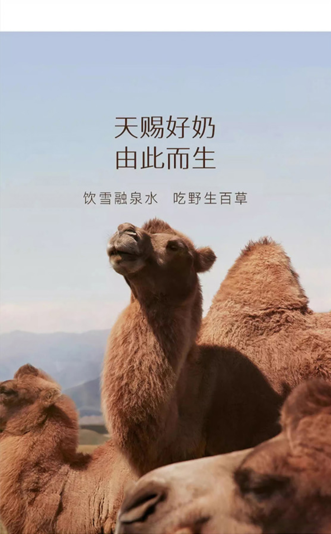 有机详情页原文件_07.jpg